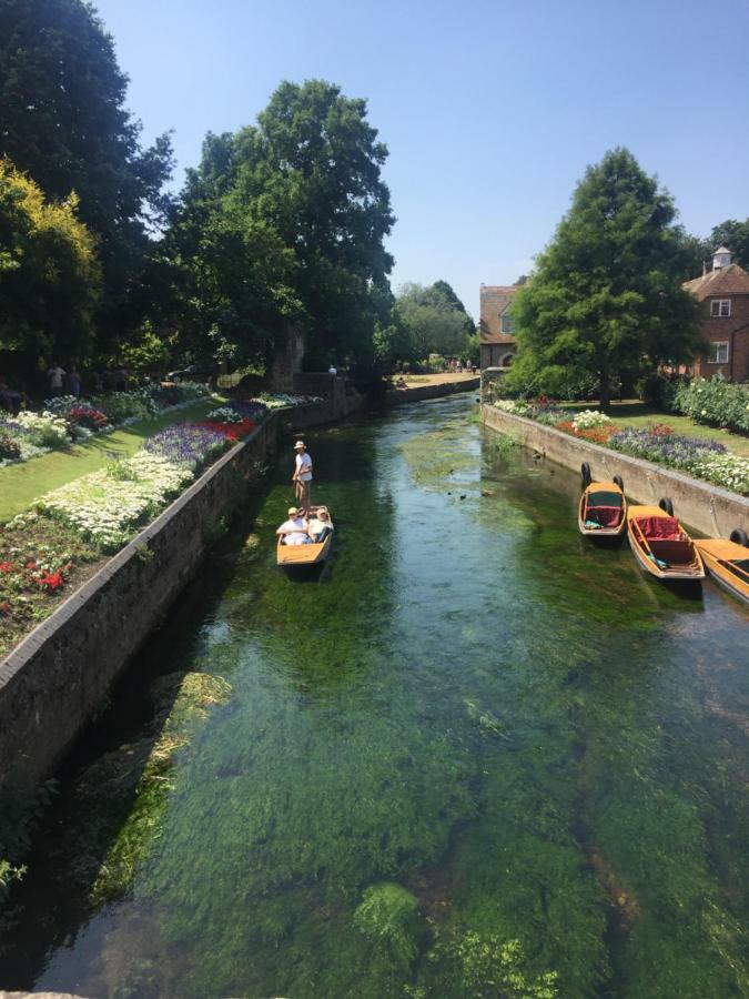 Canterbury Homestay Ensuite Exteriör bild