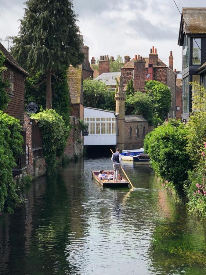 Canterbury Homestay Ensuite Exteriör bild